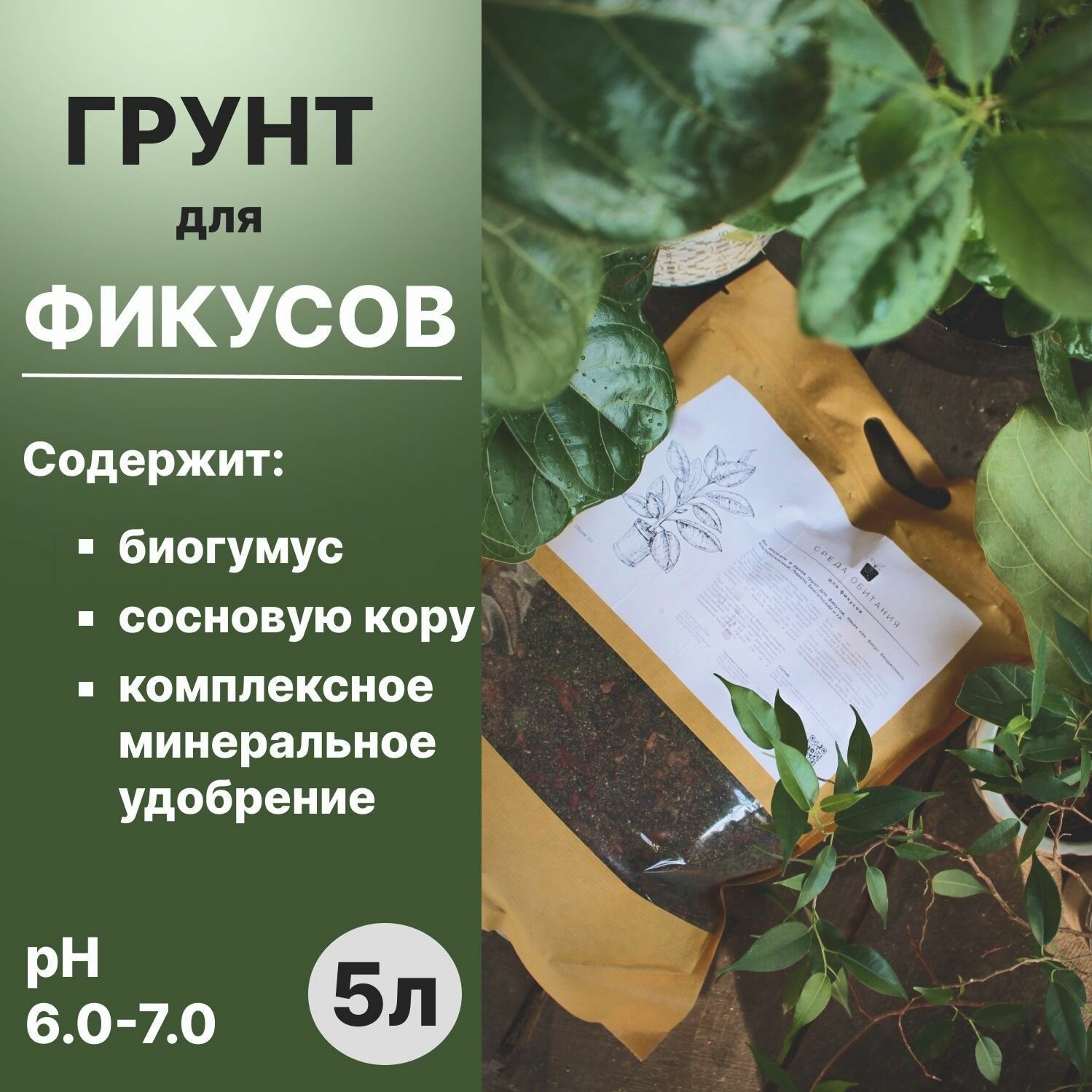 Грунт Среда обитания для фикусов