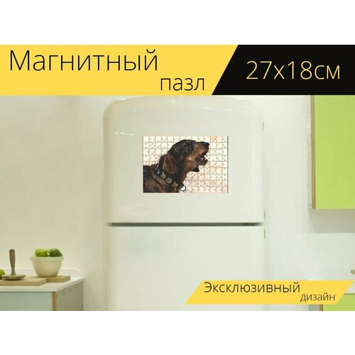 Магнитный пазл Такса, жесткошерстная такса, собака на холодильник 27 x 18 см.