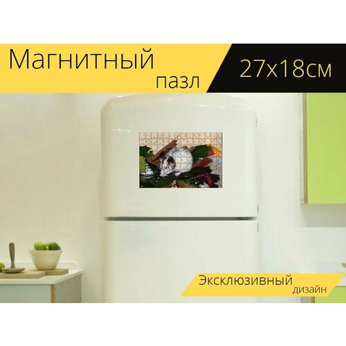 Магнитный пазл Крыса, цветная крыса, грызун на холодильник 27 x 18 см.