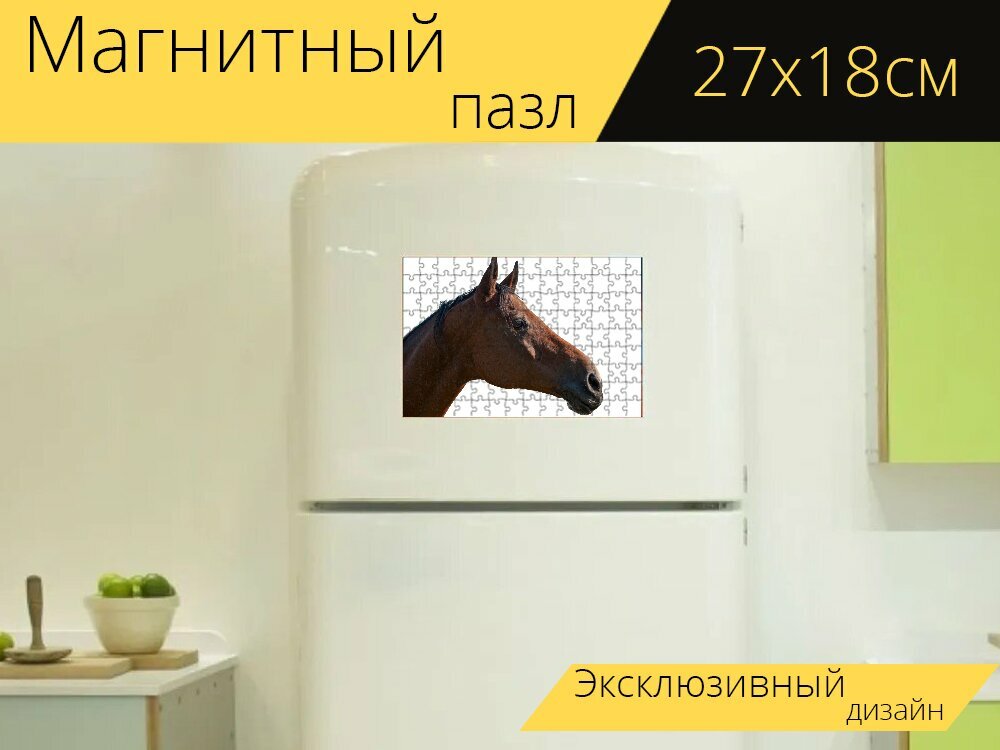 Магнитный пазл "Лошадиная голова, лошадь, езда на лошади" на холодильник 27 x 18 см.