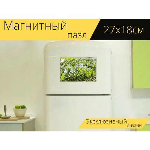 Магнитный пазл Меч папоротник, папоротник, листья на холодильник 27 x 18 см.