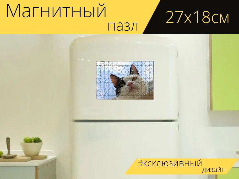 Магнитный пазл "Черный и белый кот, кот, кошка" на холодильник 27 x 18 см.