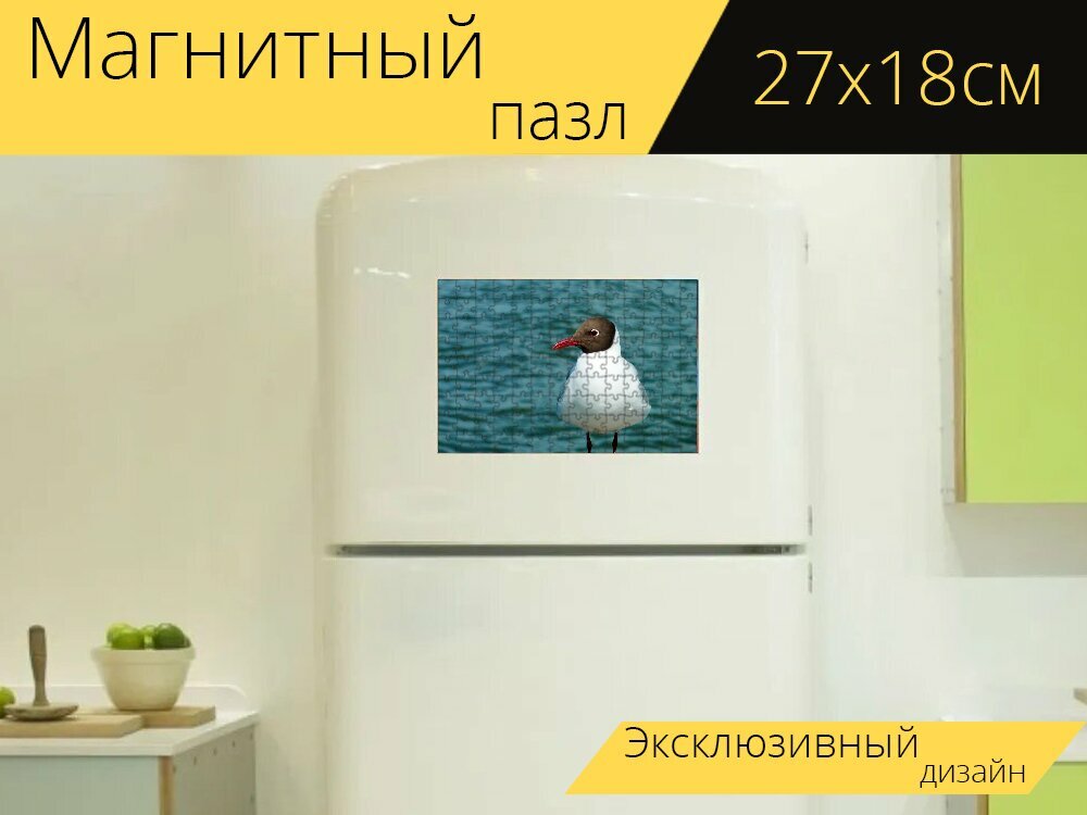 Магнитный пазл "Птица, чайка, перья" на холодильник 27 x 18 см.