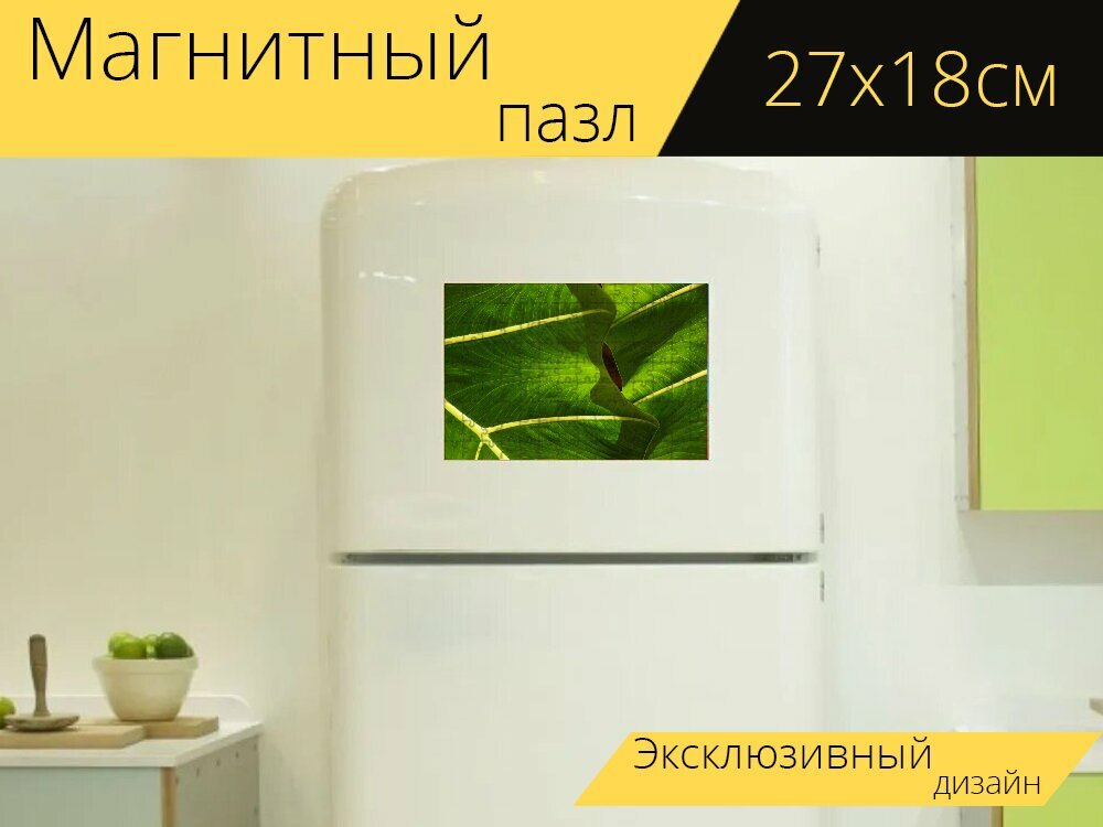 Магнитный пазл "Лист, листья, тропический" на холодильник 27 x 18 см.