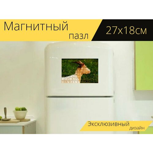 Магнитный пазл Козел, животное, домашняя коза на холодильник 27 x 18 см.