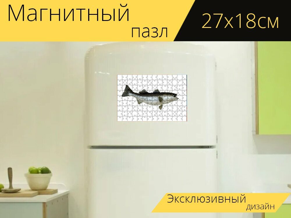 Магнитный пазл "Полосатый окунь, рыбы, установленный" на холодильник 27 x 18 см.