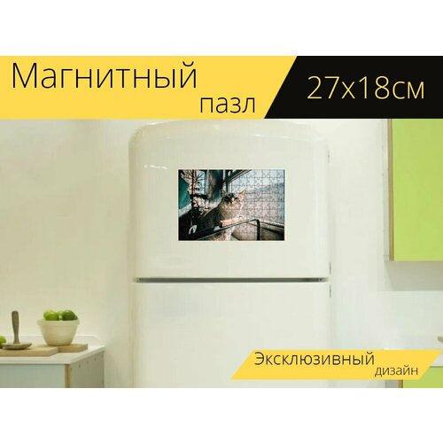 Магнитный пазл Кошка, животное, милый на холодильник 27 x 18 см. магнитный пазл милый альпаки животное на холодильник 27 x 18 см