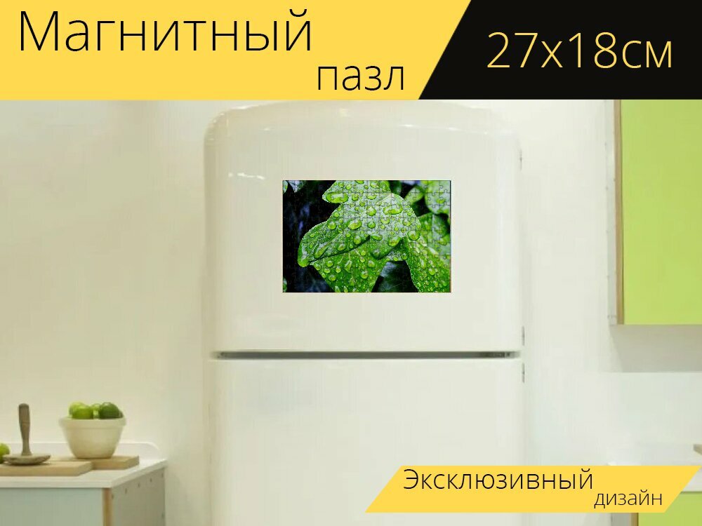 Магнитный пазл "Плющ, природа, капли" на холодильник 27 x 18 см.
