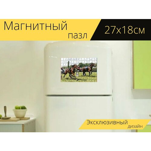 Магнитный пазл Лошади, гонка, рысь на холодильник 27 x 18 см.