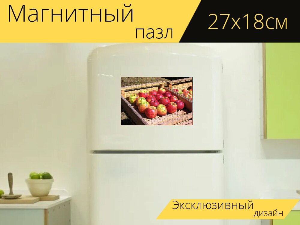 Магнитный пазл "Яблоки, фрукты, яблоко" на холодильник 27 x 18 см.
