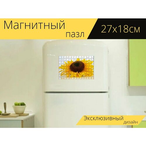 Магнитный пазл Подсолнух, цветок, подсолнечник на холодильник 27 x 18 см. магнитный пазл подсолнечник цветок лето на холодильник 27 x 18 см