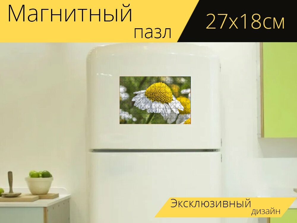 Магнитный пазл "Цветок, цветочная пыльца, белый цветок" на холодильник 27 x 18 см.