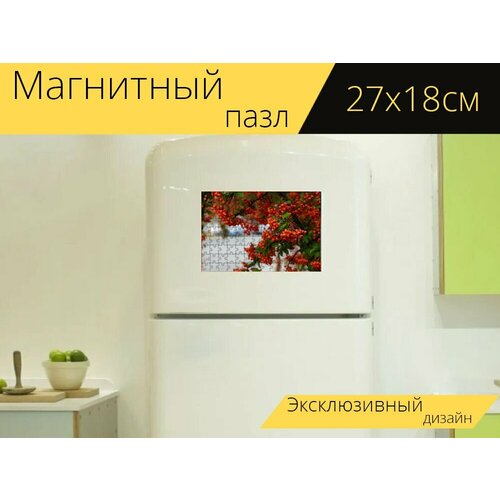 Магнитный пазл Рябина, природа, красочный на холодильник 27 x 18 см.