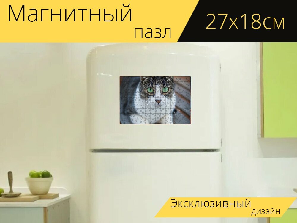 Магнитный пазл "Кошка, котенок, домашний питомец" на холодильник 27 x 18 см.