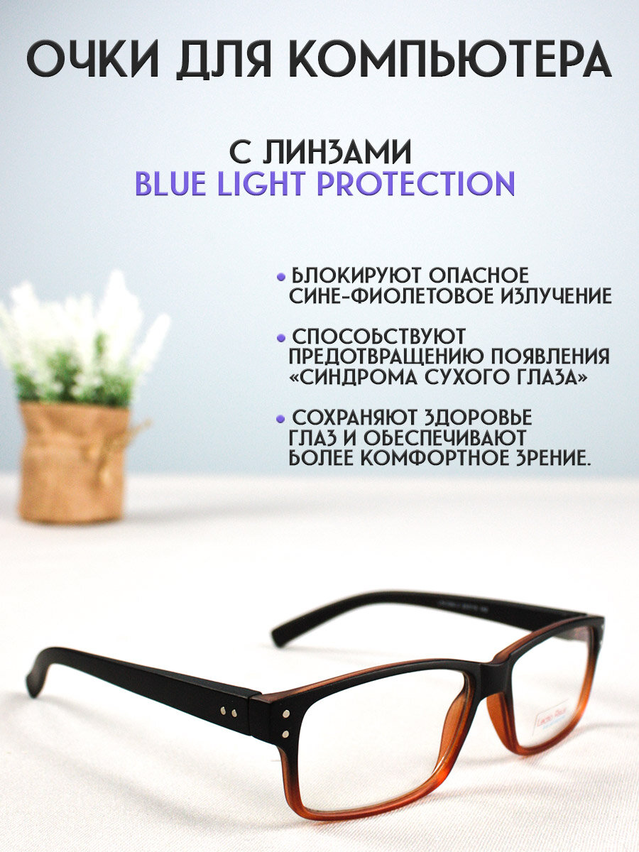 Изображение Очки для компьютера LECTIO RISUS LRC006-2 имиджевые защитные