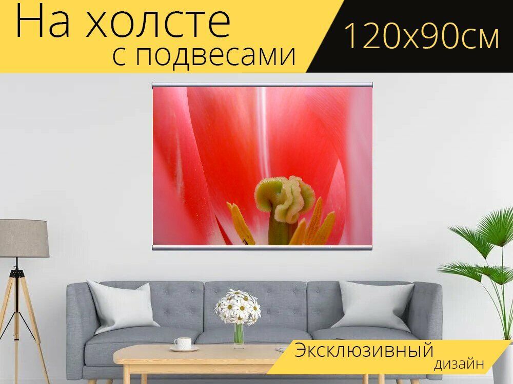 Картина на холсте "Цветок, цвести, тюльпан" с подвесами 120х90 см. для интерьера