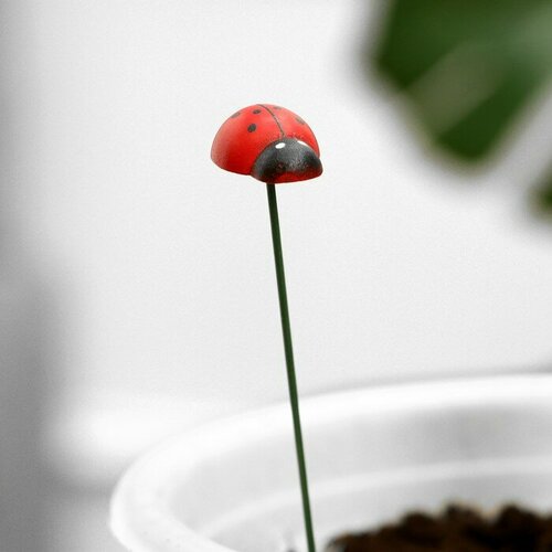 Набор штекеров Божья коровка 10шт 25см длина 25см 571₽