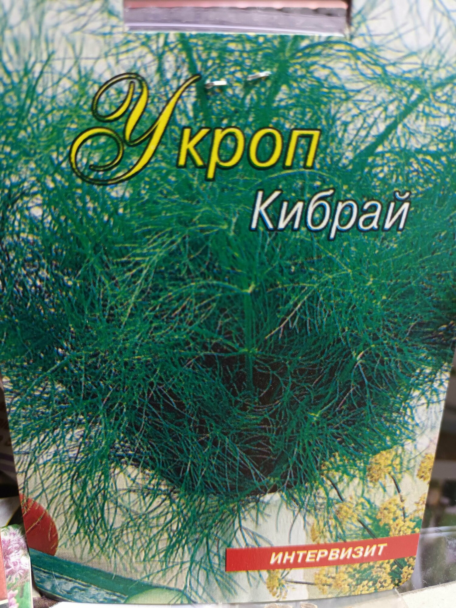Укроп Кибрай, Сочная ароматная зелень! Семена 100 штук