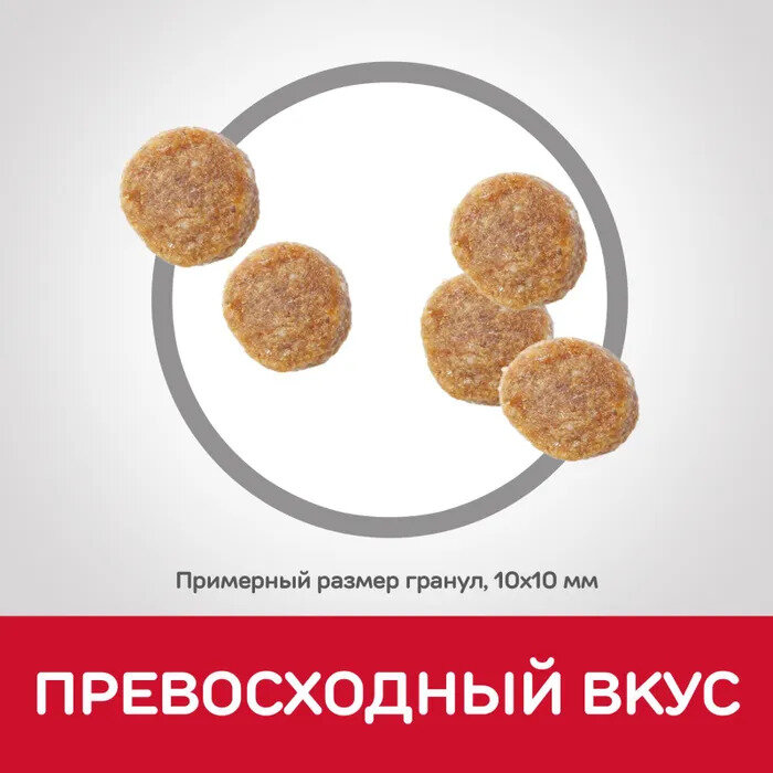 Сухой корм Hill's Science Plan Optimal Care (Оптимальный уход) для взрослых кошек, курица, 15кг - фото №13