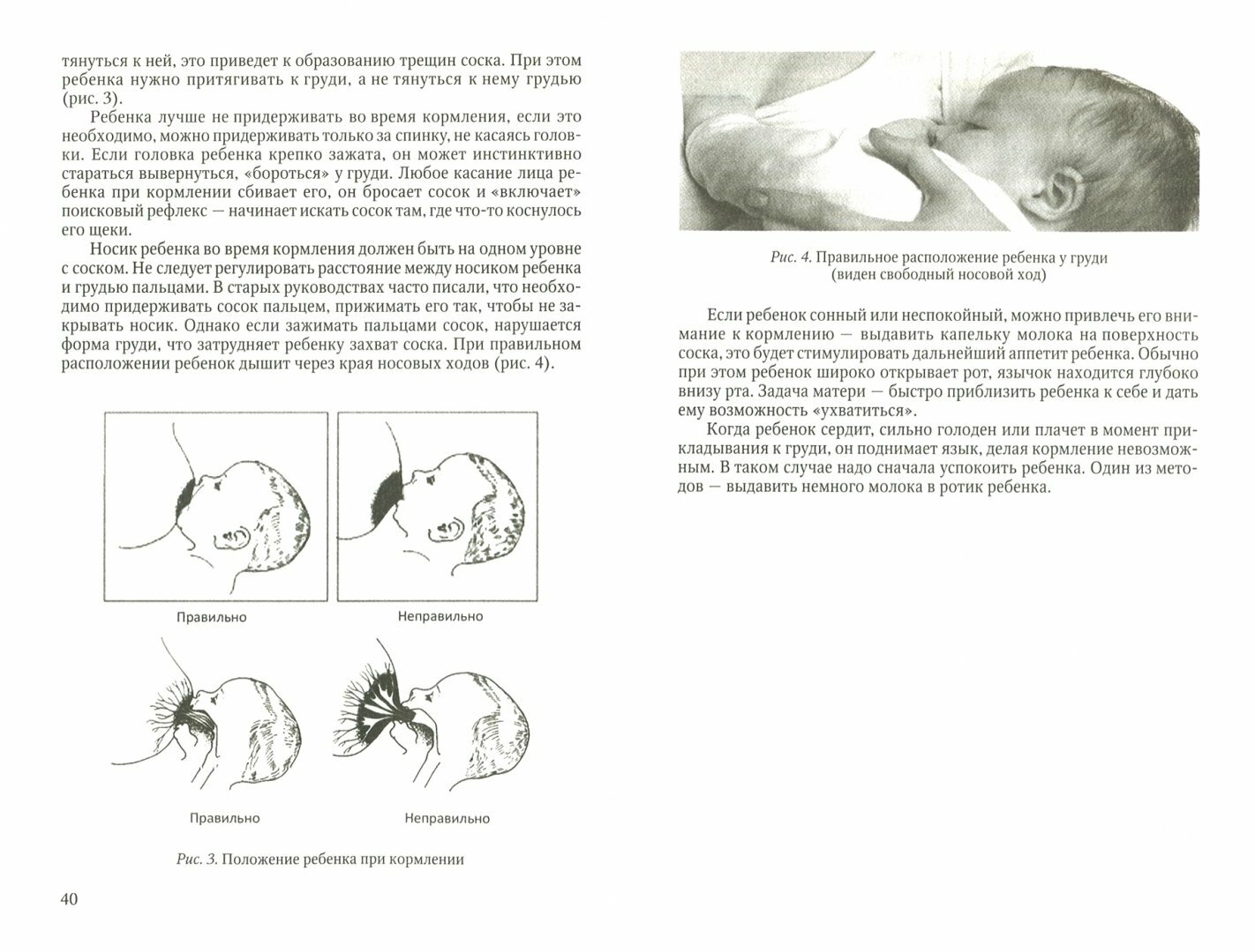 Грудное вскармливание. Практическое руководство для семейных врачей - фото №2
