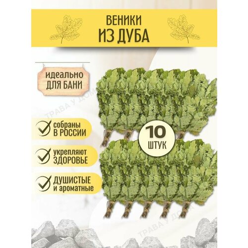 Веники для бани дубовые 10 шт