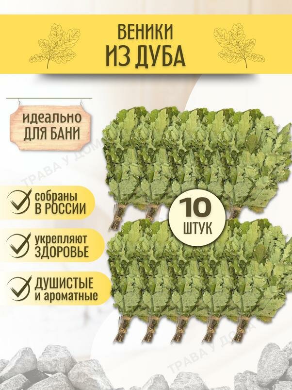 фото Веники для бани дубовые 10 шт