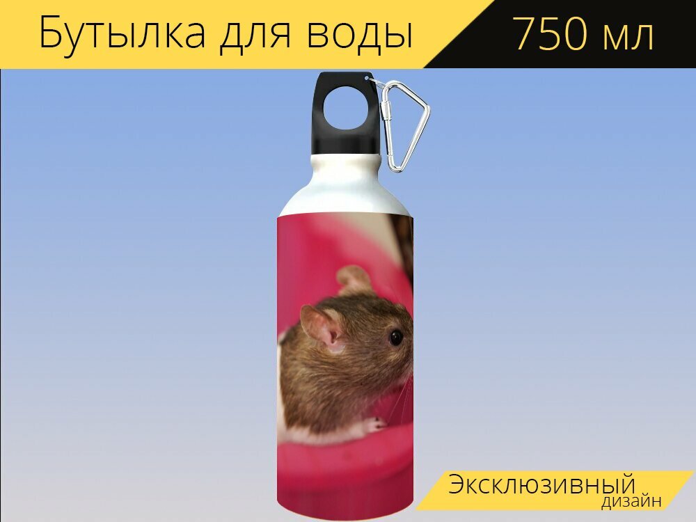 Бутылка фляга для воды "Крысы, цветные крысы, милый" 750 мл. с карабином и принтом