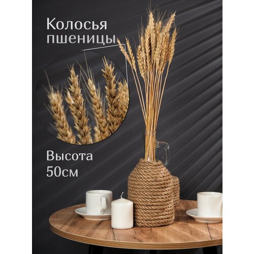 Натуральные сухоцветы 