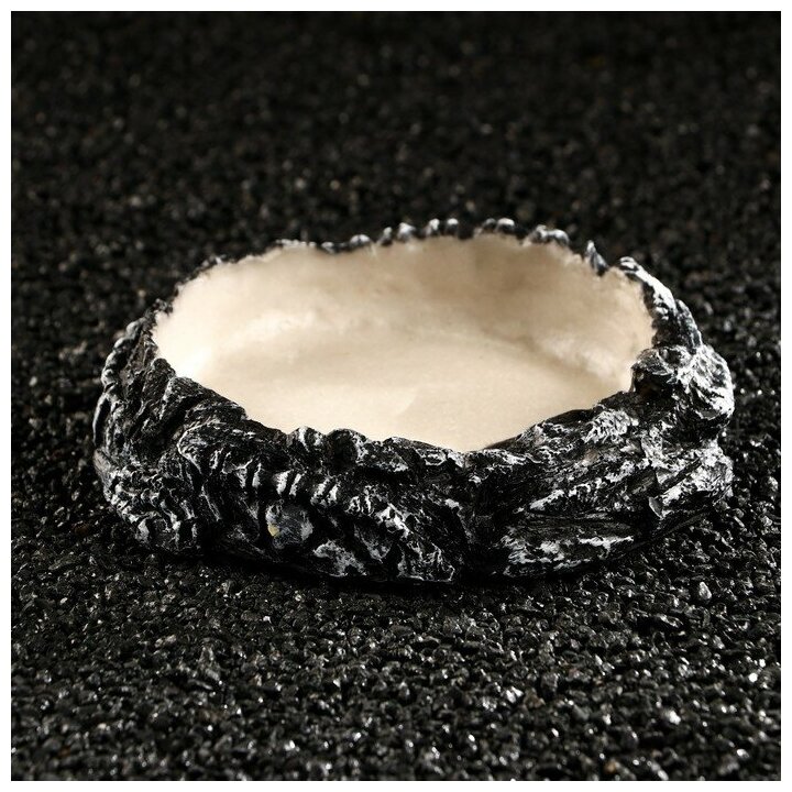 Кормушка для террариума 16 х 16 х 4 см "Hidde" цвет чёрный