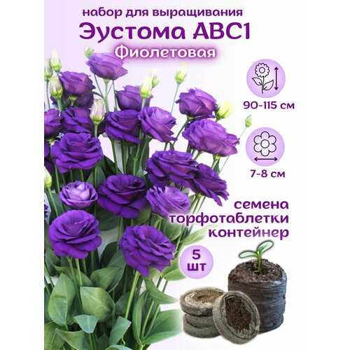 Семена Эустома фиолетовая + торфяные таблетки, 5шт, набор для выращивания