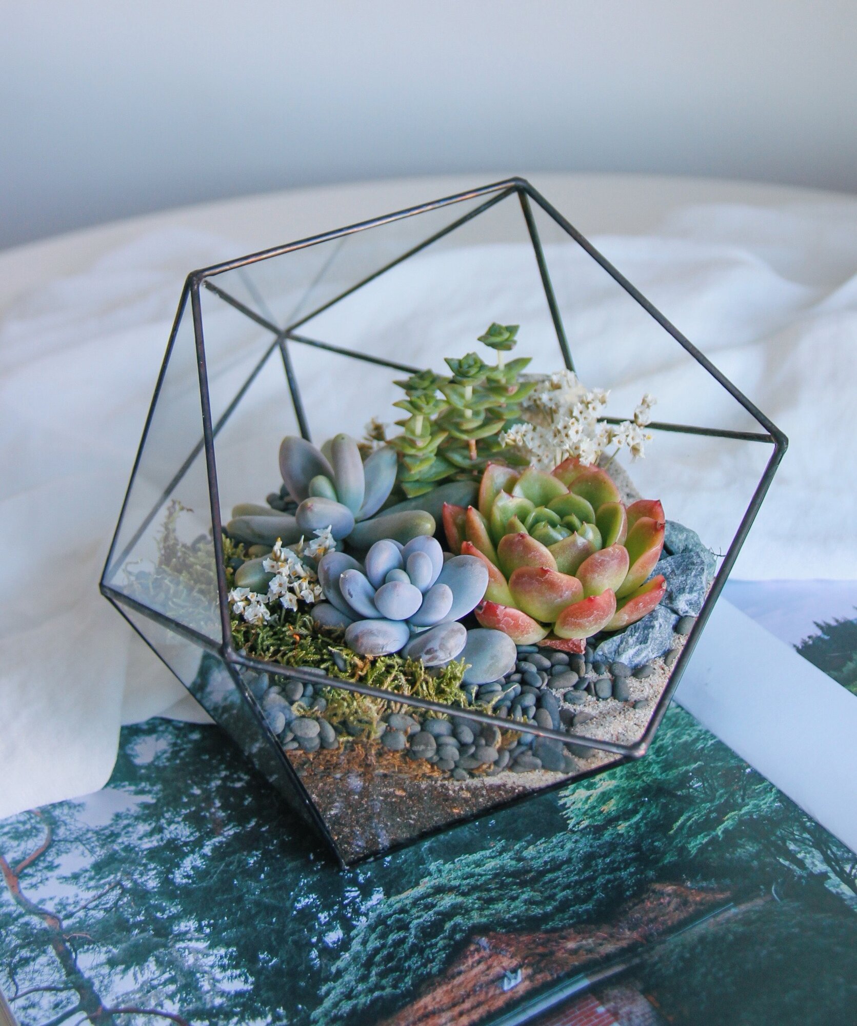 Флорариум со светолюбивыми суккулентами  Весенний  от SEVERINSIDE