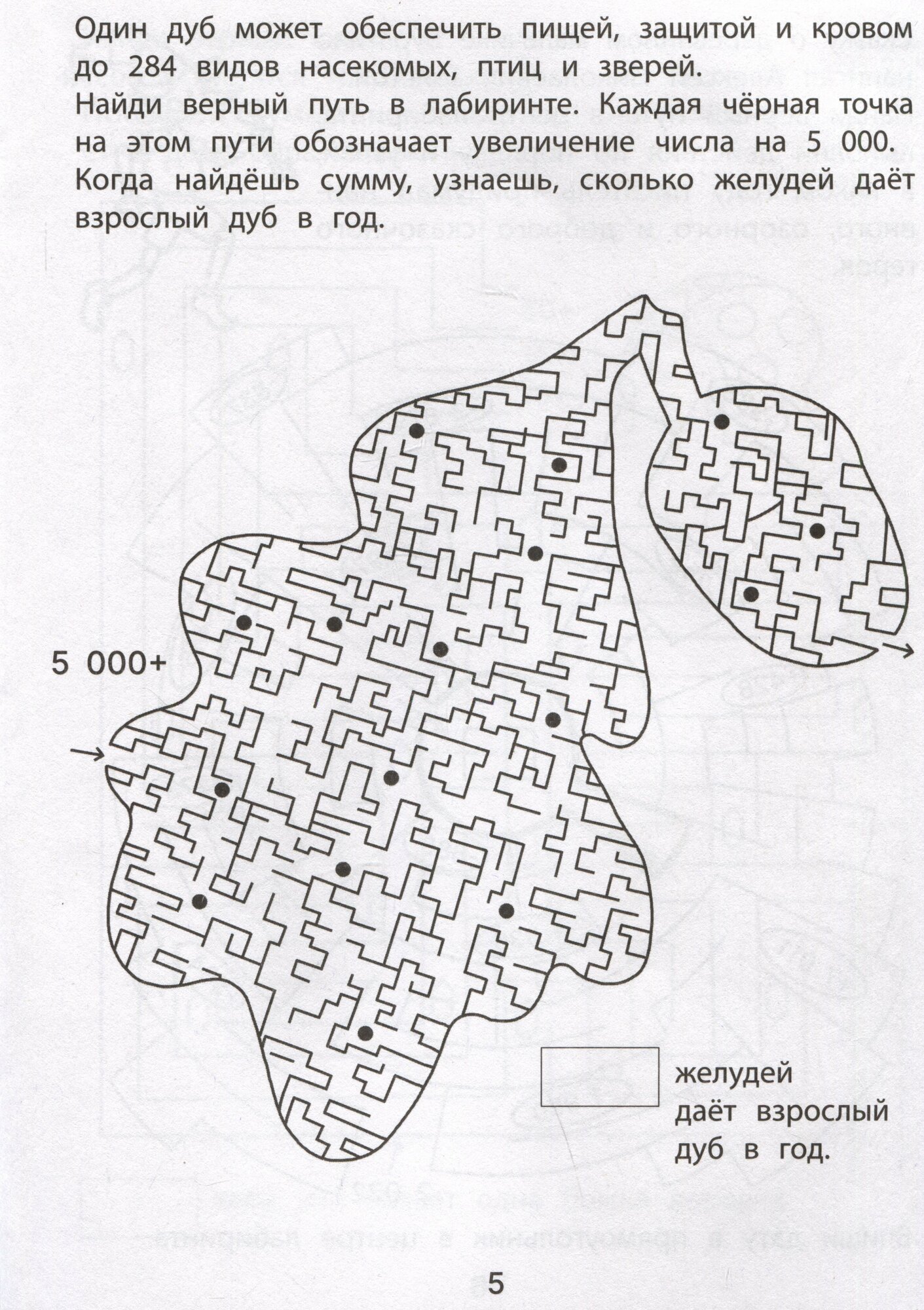Обучающие лабиринты: сложение и вычитание: 8-9 лет — фото 1