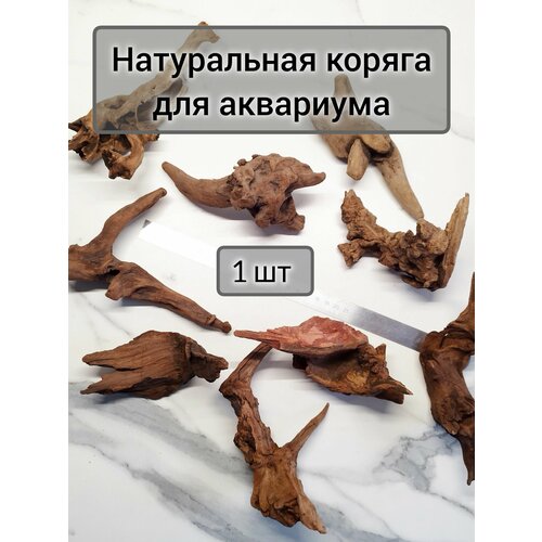 Натуральная коряга для аквариума 13-17 см (1 шт)