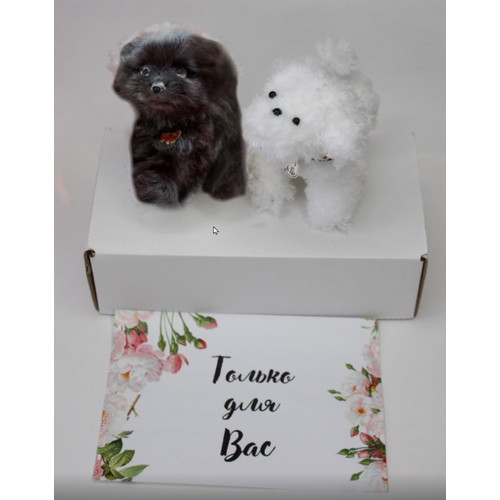 Набор для творчества и рукоделия из пушистой проволоки Пудели 2 шт. черный и белый, Моя Вещь