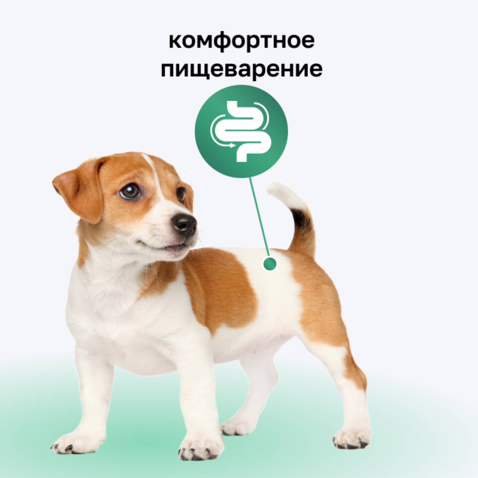 Organix консервы для щенков Мясное ассорти с перепёлкой, влажный корм, 400 г — фото 1