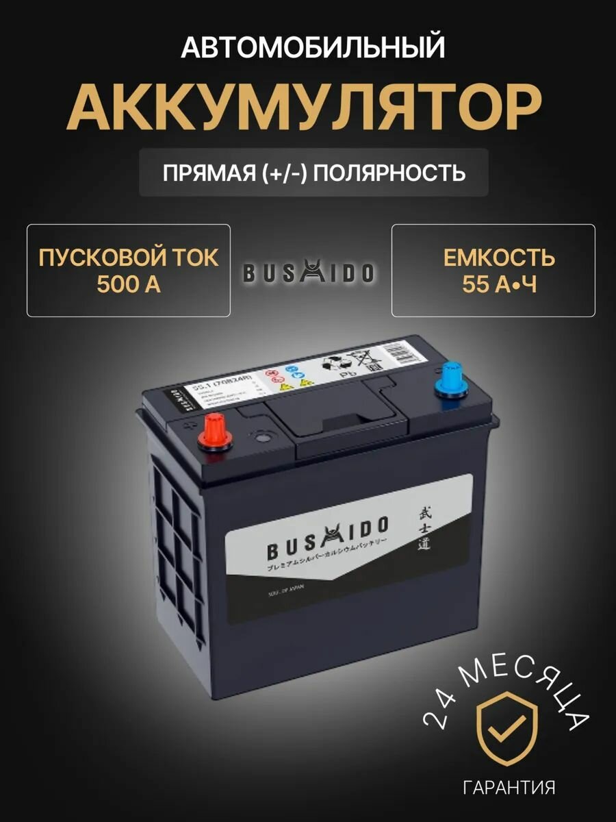 Аккумулятор автомобильный Bushido SJ 70B24R 12В 55Ач 500А, Прямая полярность