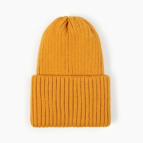 Шапка детская А5345 цвет горчичный р 54-56 1842₽
