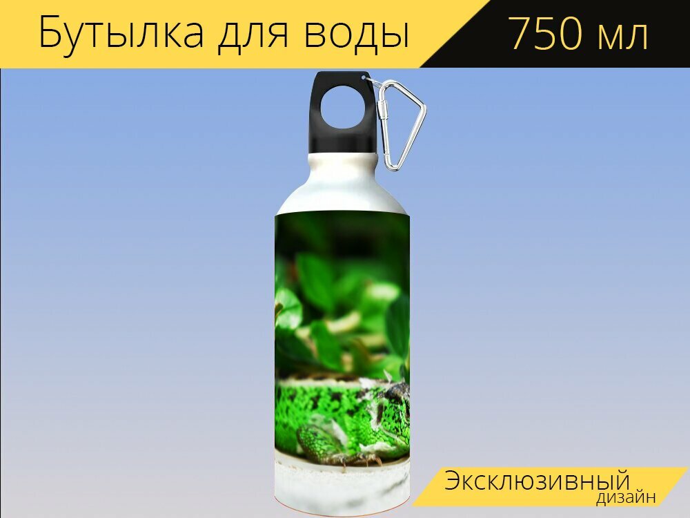 Бутылка фляга для воды "Ящерица, зелёная ящерица, проливание" 750 мл. с карабином и принтом