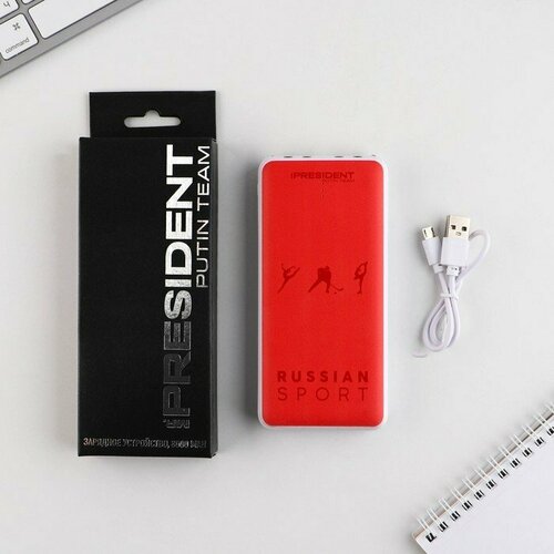 Зарядное устройство Russian sport 8000мА модель PB-25 145 х 69 см 324600₽