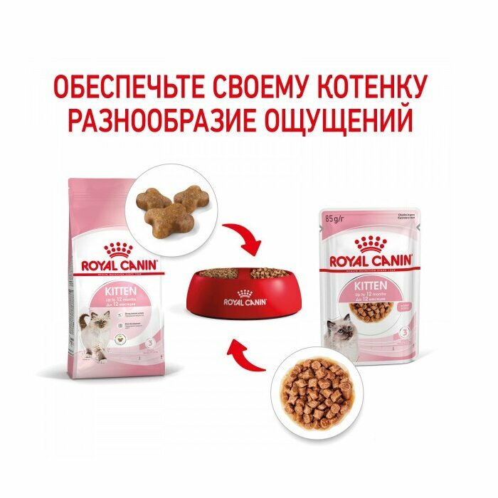 Royal Canin Kitten влажный корм для котят от 4 до 12 месяцев кусочки в соусе, 85 г - фото №12