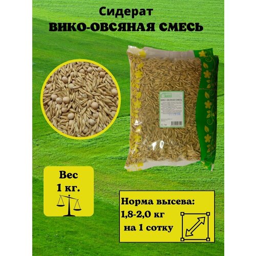 Вика-овес, Сидерат вико-овсянная смесь, семена сидераты 1 кг семена сидератов овес яровой боррус 0 5кг