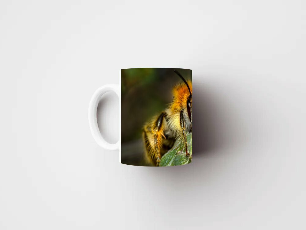 Кружка с рисунком, принтом "Пчела, насекомое, api интерфейсы" 320 мл.