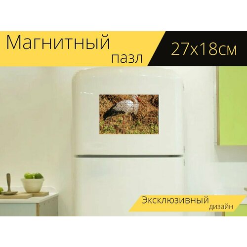 Магнитный пазл Птица, аист, оперение на холодильник 27 x 18 см.