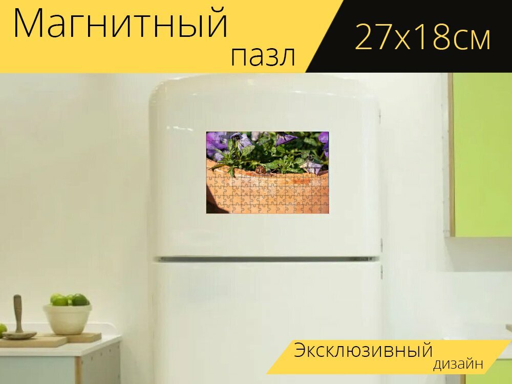 Магнитный пазл "Улитка, оболочка, цветочный горшок" на холодильник 27 x 18 см.