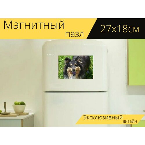 Магнитный пазл Собака, собака шелти, собака мне любовь на холодильник 27 x 18 см.
