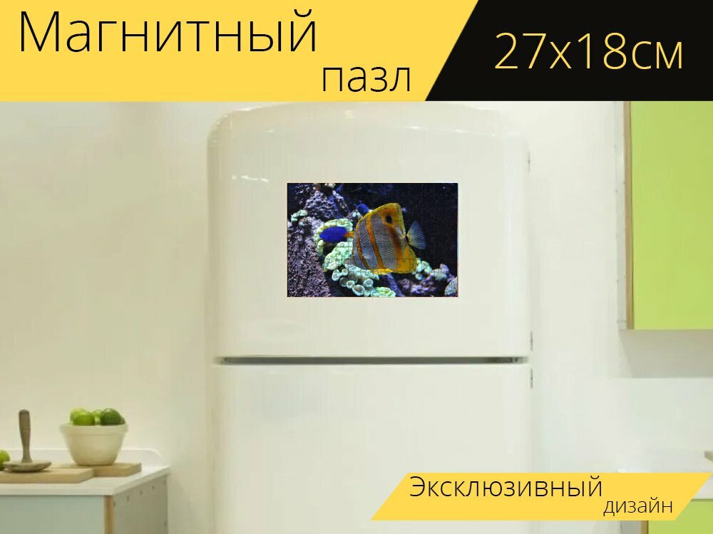 Магнитный пазл "Аквариум, рыба, воды" на холодильник 27 x 18 см.