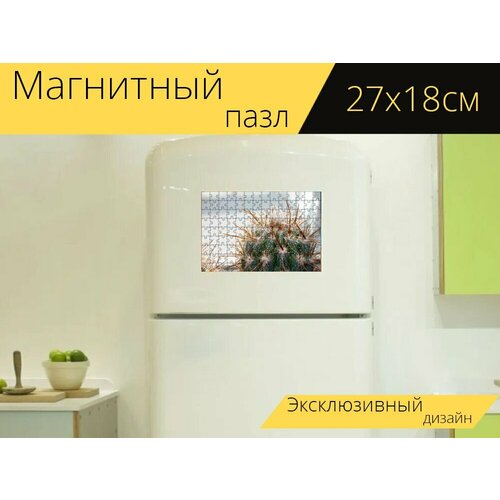 Магнитный пазл Кактус, колючий на холодильник 27 x 18 см. магнитный пазл кактус десерт ботаника на холодильник 27 x 18 см