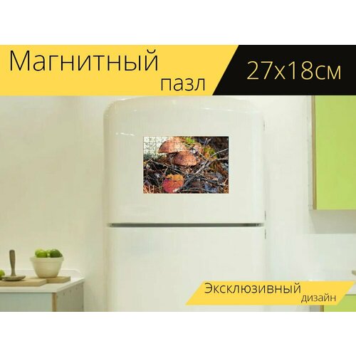 Магнитный пазл Осень, лес, грибы на холодильник 27 x 18 см.