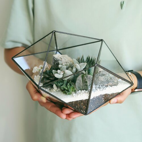 Флорариум с теневыносливыми суккулентами Кварц