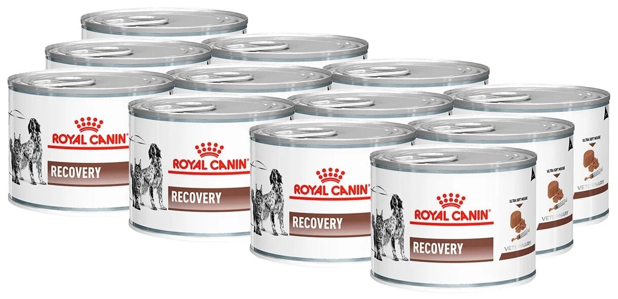 Влажный корм для собак Royal Canin Recovery в период восстановления после операции 12 уп. х 1 шт. х 195 г